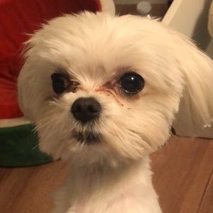 Meet your Posher, Blake